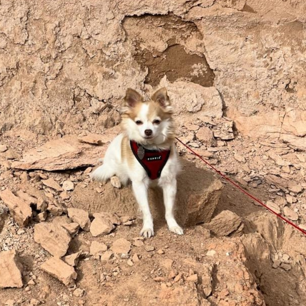 Meet your Posher, Kay